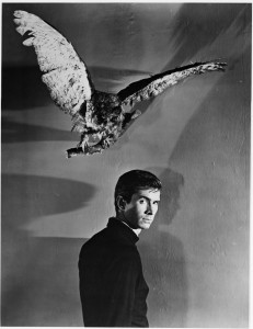 psycho2 anthony-perkins-in-psycho-(1960)-large-picture